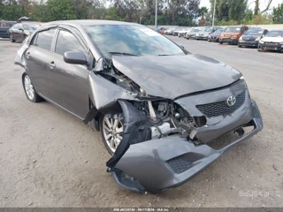 TOYOTA TOYOTA COROLLA LE
