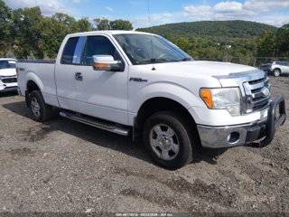FORD FORD F-150 STX/XL/XLT