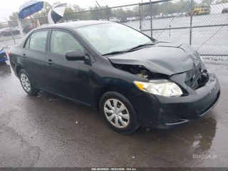 TOYOTA TOYOTA COROLLA LE