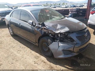 TOYOTA TOYOTA COROLLA LE