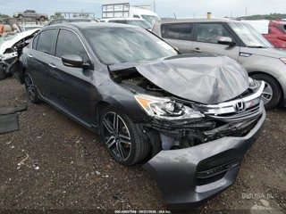 HONDA HONDA ACCORD SPORT SE
