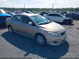 TOYOTA TOYOTA COROLLA LE