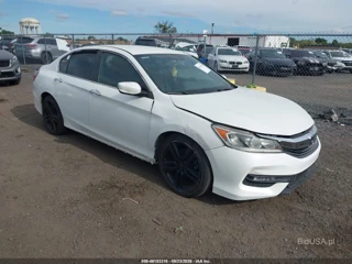 HONDA HONDA ACCORD SPORT