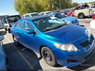 TOYOTA TOYOTA COROLLA LE