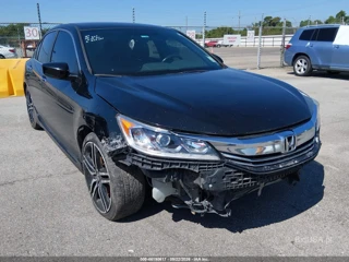 HONDA HONDA ACCORD SPORT SE