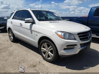MERCEDES-BENZ MERCEDES-BENZ M-CLASS ML 350