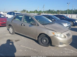 TOYOTA TOYOTA COROLLA
