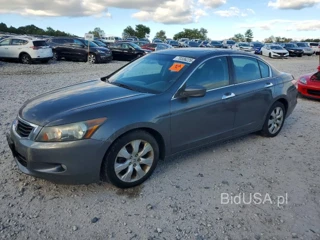 HONDA ACCORD EXL