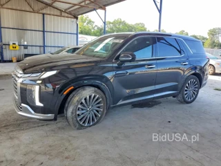 HYUNDAI PALISADE CALLIGRAPHY
