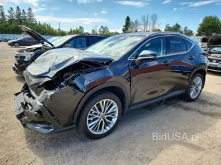 LEXUS NX 350 PREMIUM