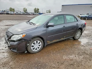 TOYOTA COROLLA BASE