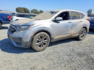 HONDA CR-V EX