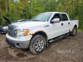 FORD F150 SUPERCREW