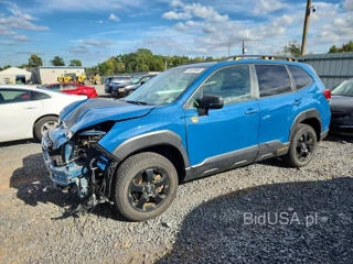 SUBARU FORESTER WILDERNESS