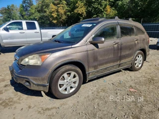 HONDA CR-V EXL