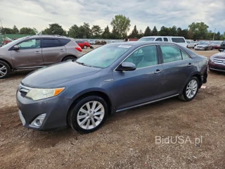 TOYOTA CAMRY HYBRID XLE