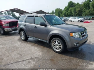 FORD FORD ESCAPE XLT