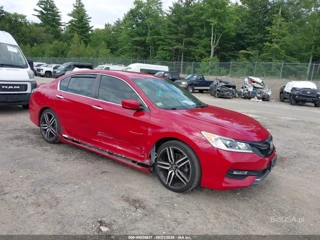 HONDA HONDA ACCORD SPORT
