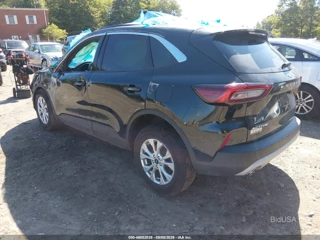 FORD FORD ESCAPE ACTIVE