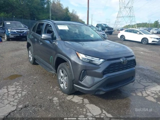 TOYOTA TOYOTA RAV4 XLE