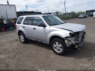 FORD FORD ESCAPE XLT