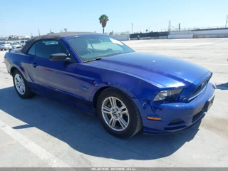 FORD FORD MUSTANG V6