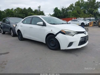 TOYOTA TOYOTA COROLLA LE