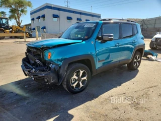 JEEP RENEGADE TRAILHAWK