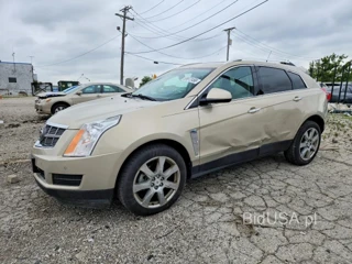 CADILLAC SRX LUXURY COLLECTION