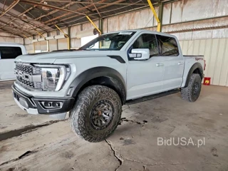 FORD F150 RAPTOR