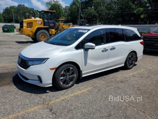HONDA ODYSSEY ELITE