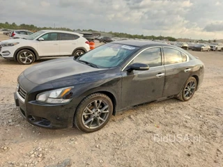 NISSAN MAXIMA 3.5 S