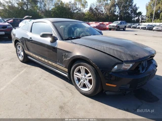FORD FORD MUSTANG V6
