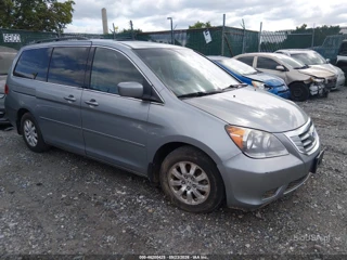HONDA HONDA ODYSSEY EX-L