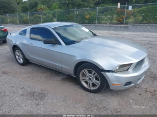 FORD FORD MUSTANG V6