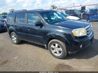 HONDA HONDA PILOT EX-L