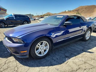 FORD MUSTANG