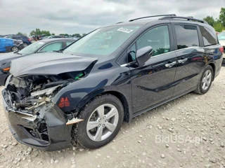 HONDA ODYSSEY EXL