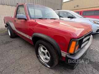 DODGE DAKOTA SHELBY