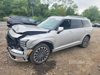 HYUNDAI PALISADE CALLIGRAPHY