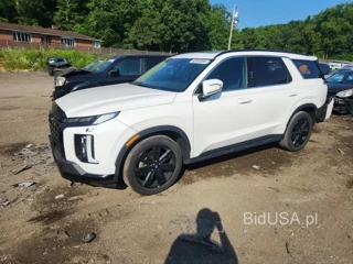 HYUNDAI PALISADE XRT