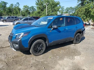 SUBARU FORESTER WILDERNESS