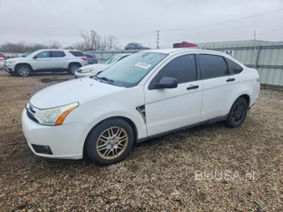 FORD FOCUS SE/SEL/SES