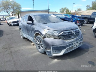 HONDA HONDA CR-V 2WD EX
