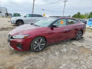 NISSAN MAXIMA SL