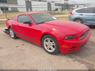 FORD FORD MUSTANG V6