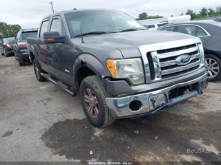 FORD FORD F-150 XLT