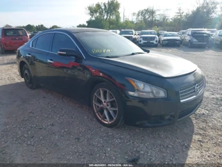 NISSAN NISSAN MAXIMA 3.5 SV