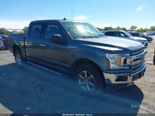 FORD FORD F-150 XLT