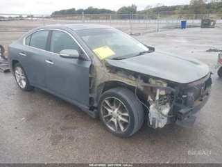 NISSAN NISSAN MAXIMA 3.5 SV